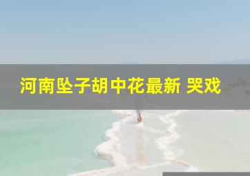 河南坠子胡中花最新 哭戏